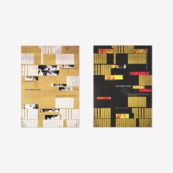 STRAY KIDS - SPECIAL ALBUM - CLE 2 : YELLOW WOOD [NORMAL VER.] RANDOM